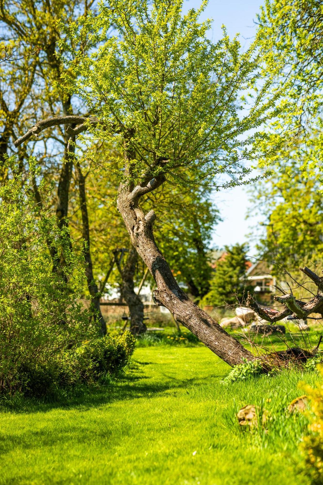 Solbjerggaard Bed & Breakfast Fåborg Exterior foto